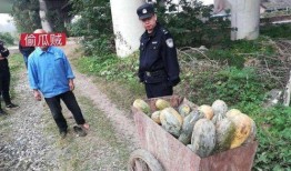 福山网红吃瓜事件视频曝光,视频曝光引发网友热议