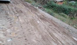 洛南爆料最新消息视频,最新视频揭露惊人内幕！