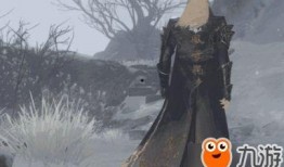 逆水寒最新服装爆料图,古风服饰再升级，细节之处见匠心